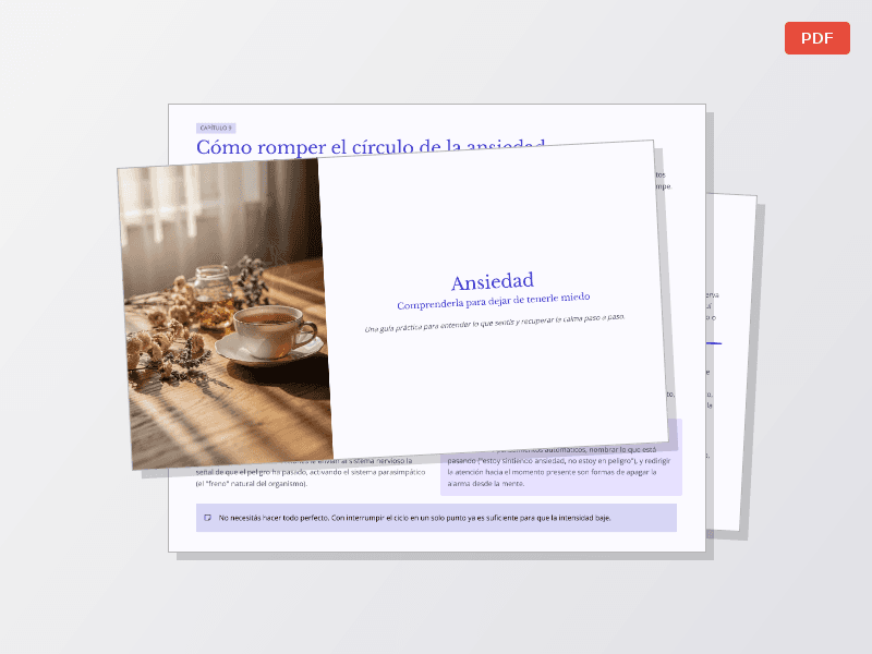 Guia practica para superar la ansiedad — Documentos