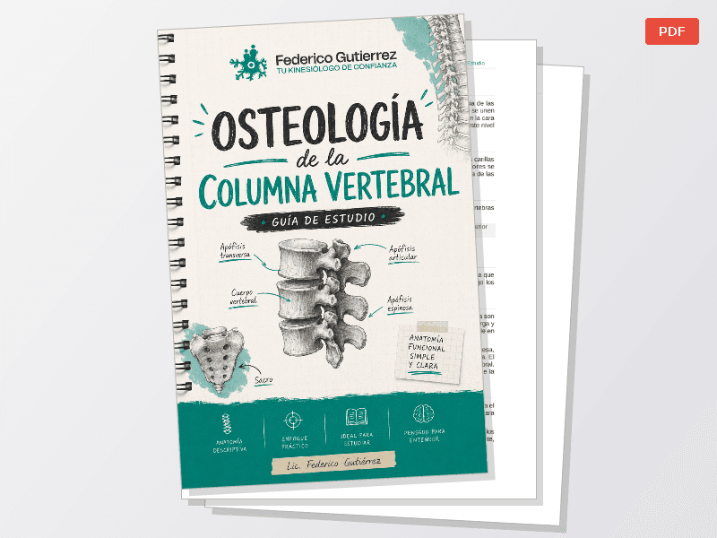 Osteología (M.Superior-M.Inferior-Columna) — Documentos