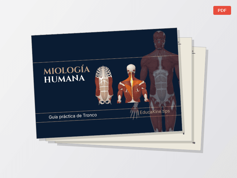 Miología de Tronco — Documentos