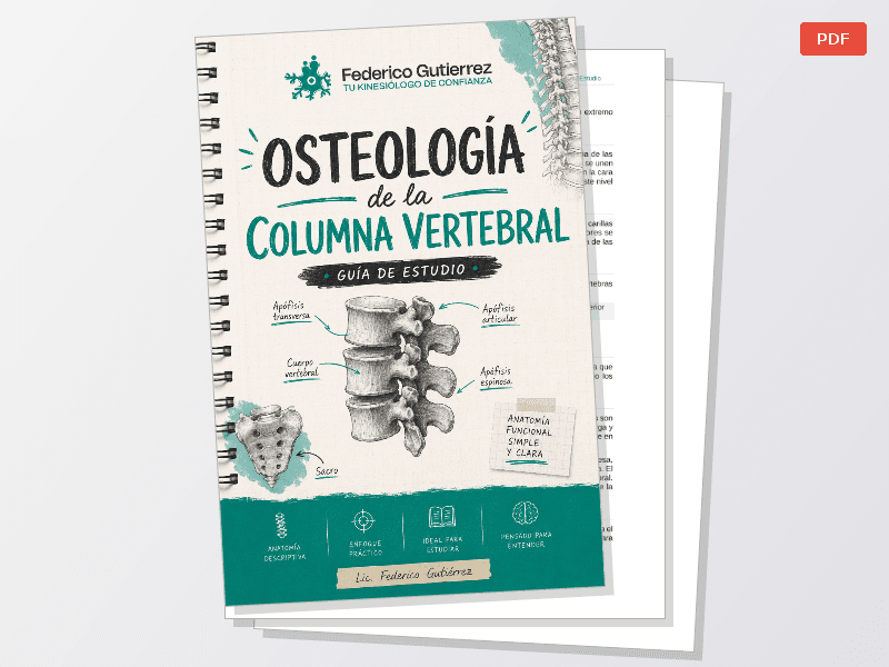 Osteología de Columna — Documentos