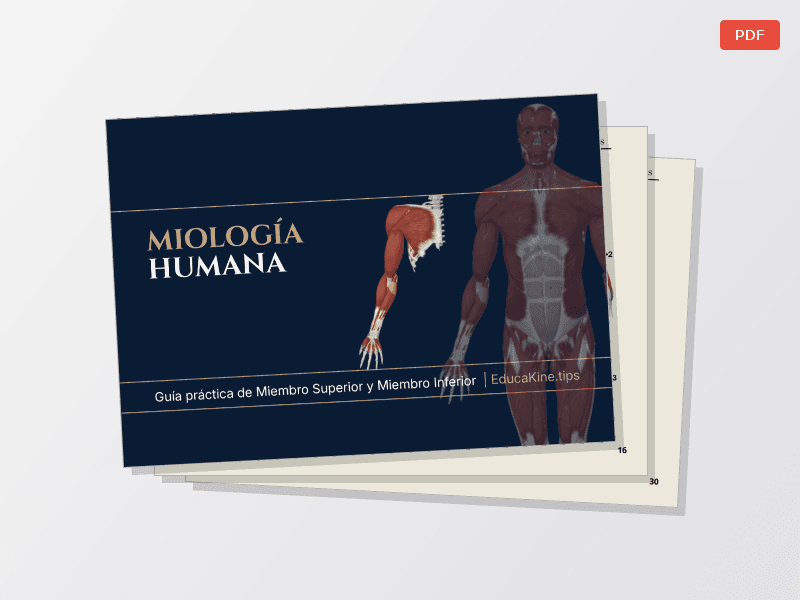 Miembros: Miología + Osteología — Documentos