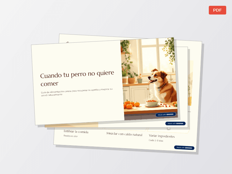 Transforma su Plato, Transforma su Vida — Documentos