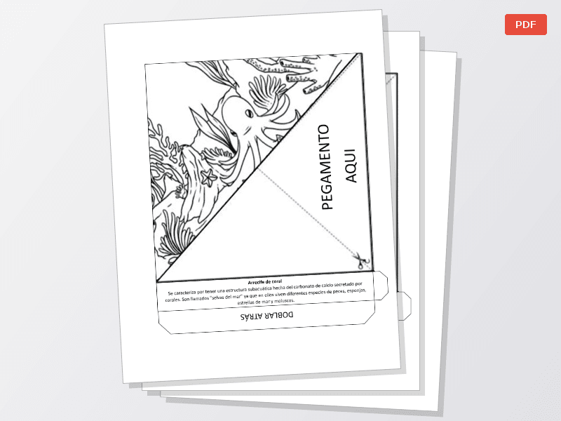 Los ecosistemas — Documentos
