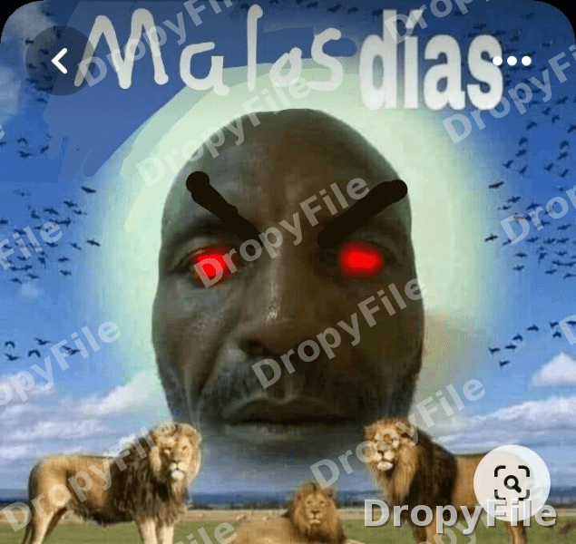 Meme — Fotografía