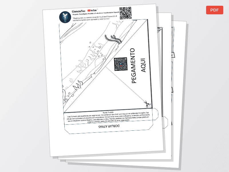 Plantilla los reinos — Documentos