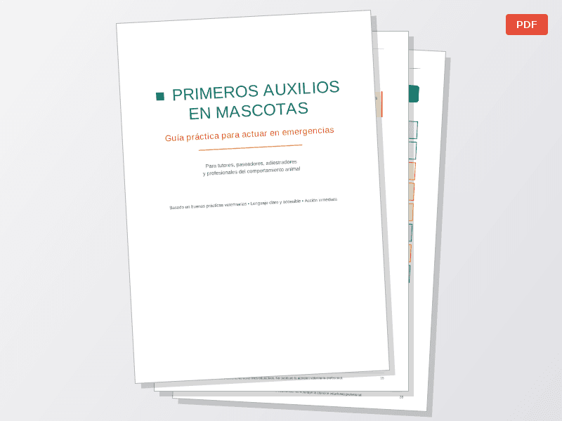 Primeros auxilios en tu mascota — Documentos