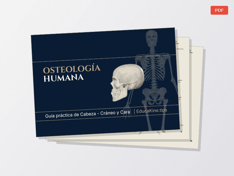 Osteo de Cabeza — Documentos